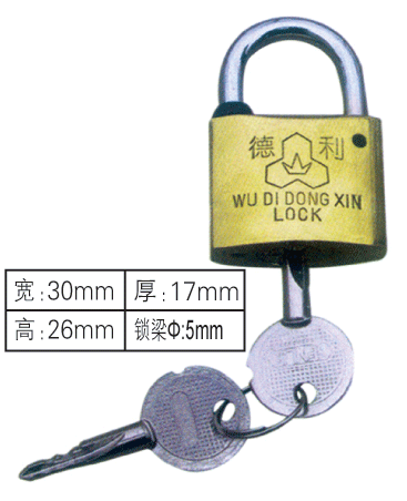 厂家供应30mm十字挂锁,电网标志通开电力表箱锁,一把钥匙通用锁