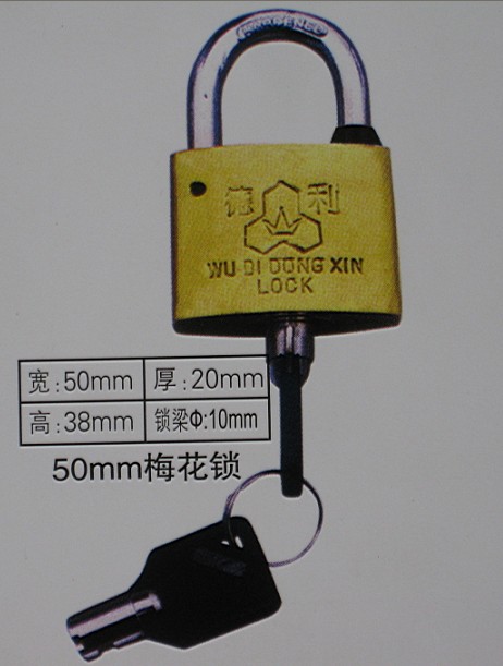 厂家供应优质50mm表箱挂锁,电力大铜挂锁,一把钥匙通开锁,一把钥匙开多把锁